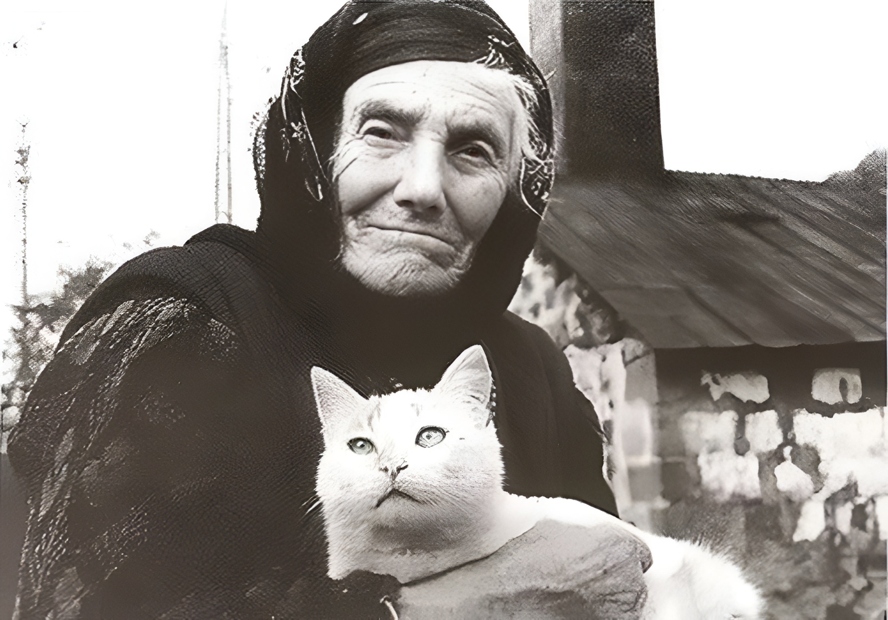 Anonymous Grandmother